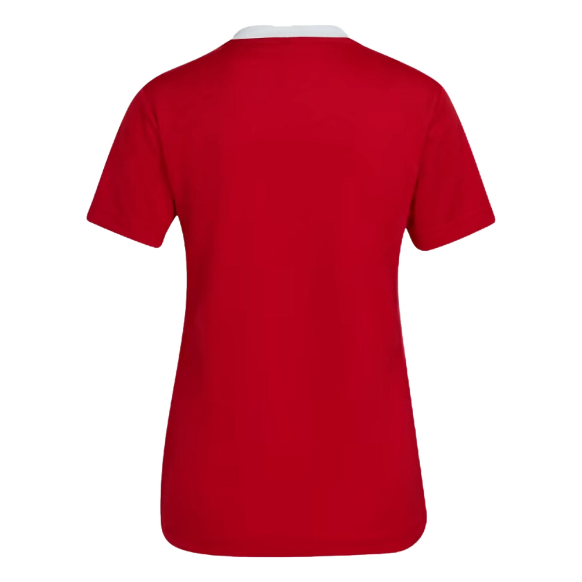 Jersey Entrada 22