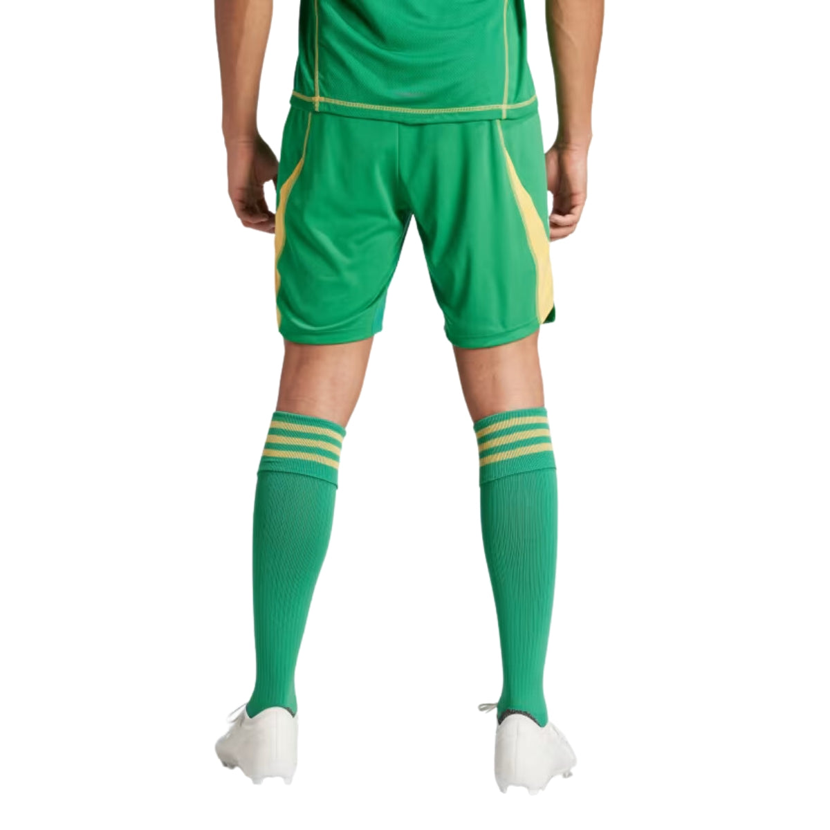 SHORT VERDE T24 P GK SHO