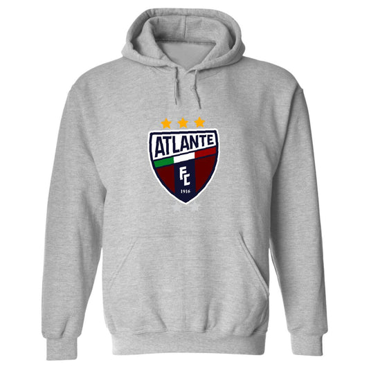 Sudadera c/Capucha Unisex Gris Personalizable Logo