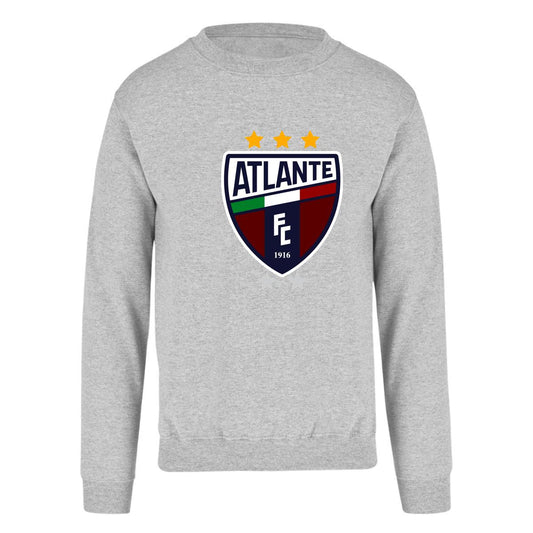 Sudadera Unisex Gris Personalizable Logo